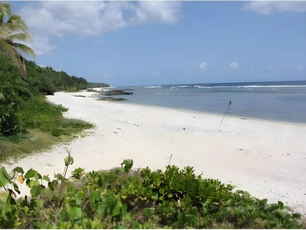 Alofa Beach Bungalows - Général