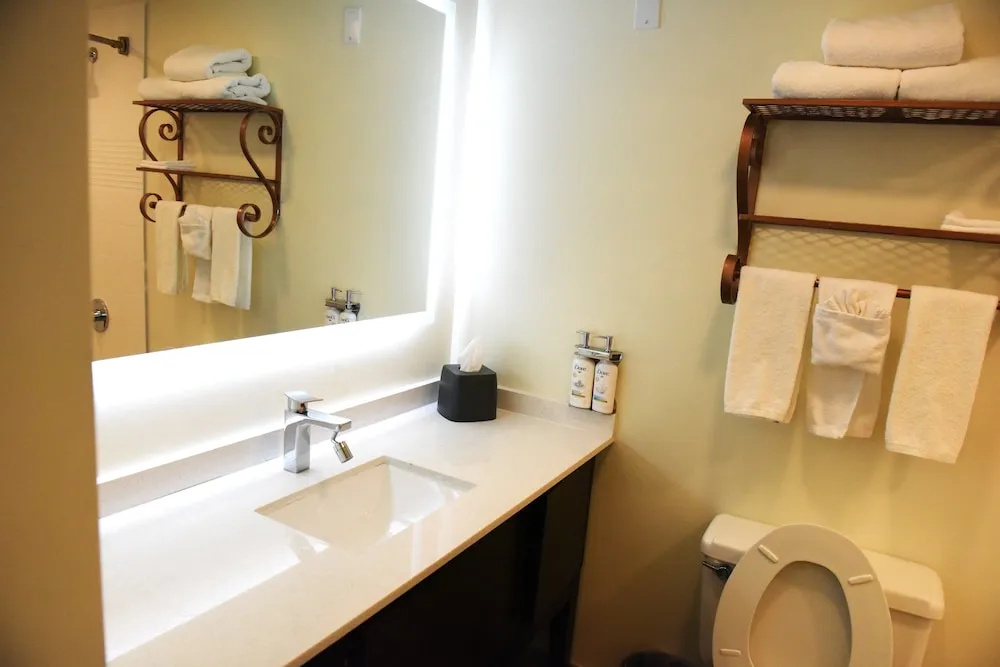 Holiday Inn Piscataway Somerset by IHG - Chambres