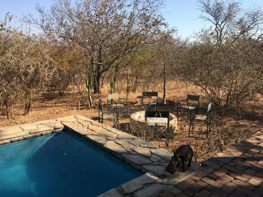 Giraffe Lodge - Chambres