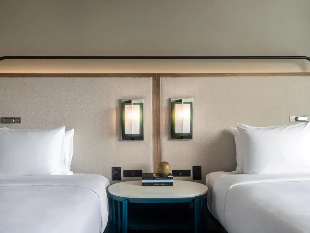 Standard Double room with mountain view (twin beds)