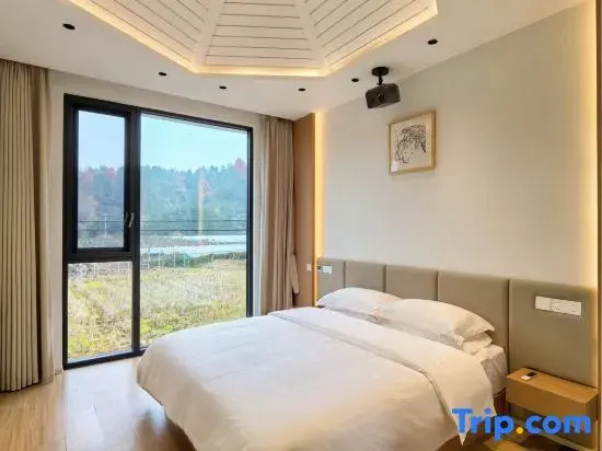 Comfort Double room with mountain view (full double bed)