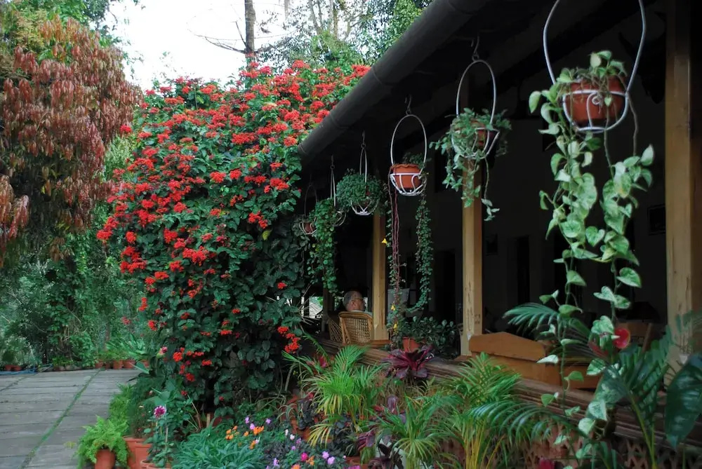 Tranquil Resort - BluSalzz Collection, Wayanad - Chambres