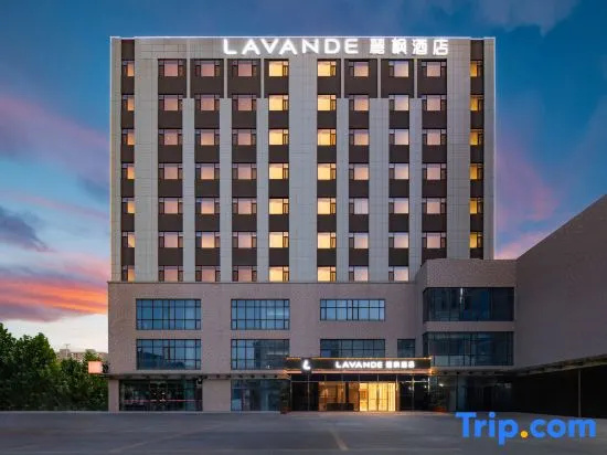 Lavande Hotel (Dongying Jinrong Wanda plaza store) in Dongying