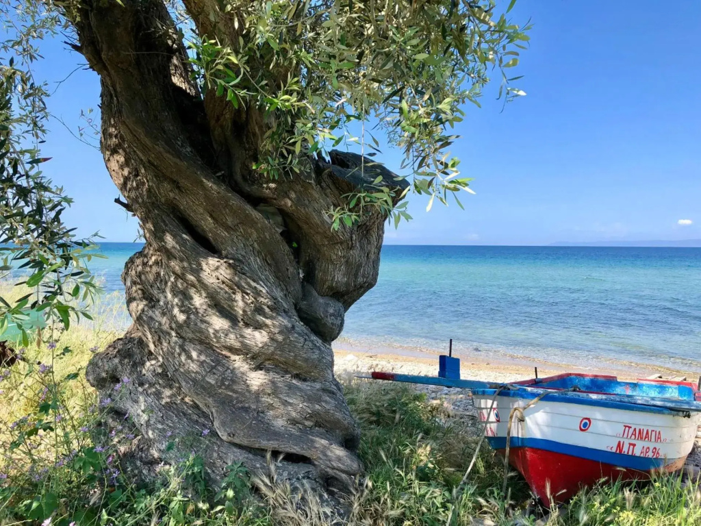 Exquisite Thassos Villa Villa Chateau 3 Bedroom Private Pool Sea View Skala Prinos