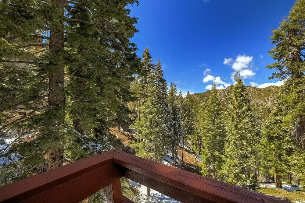 Treetop Vista