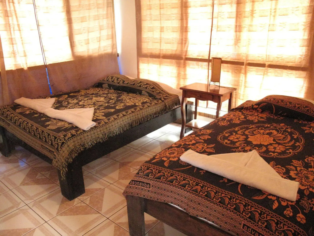 House of the Macaws - фото 4