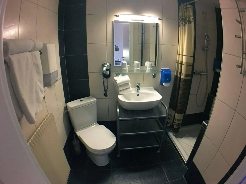 Brit Hotel et Spa COLMAR EAST - Général