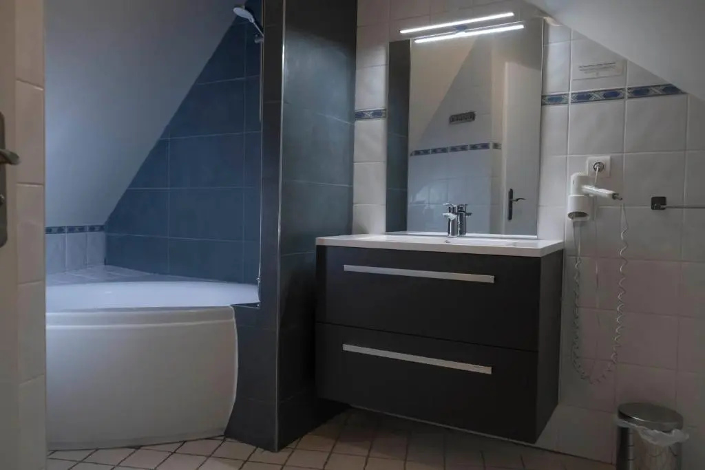 Logis Volcan Sancy Spa - Chambres