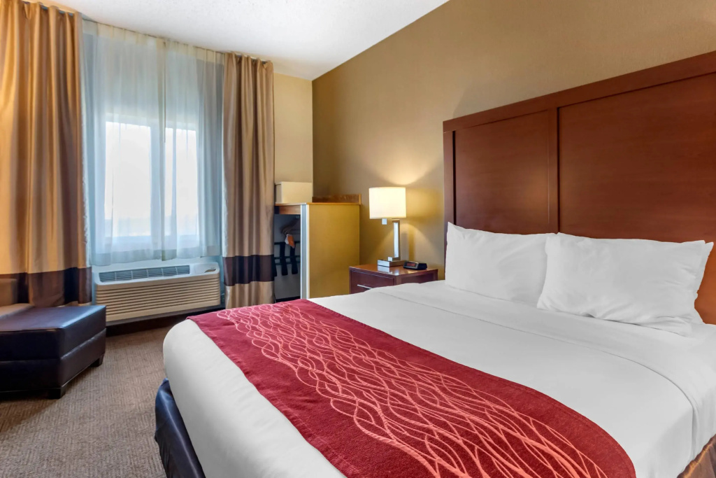 Comfort Inn Great Falls South - Chambres