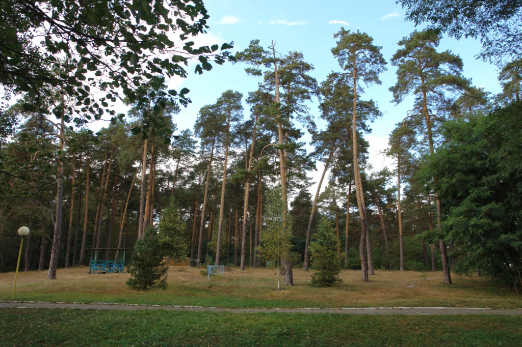 Berest'e - фото 10