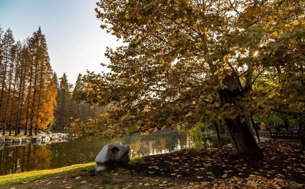 3 Night Surf Plaza - Qingdao - фото 5