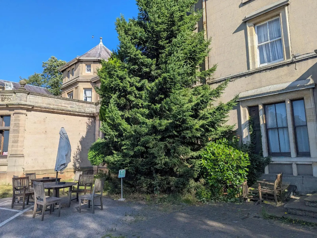 Newton Park County House Hotel - Général
