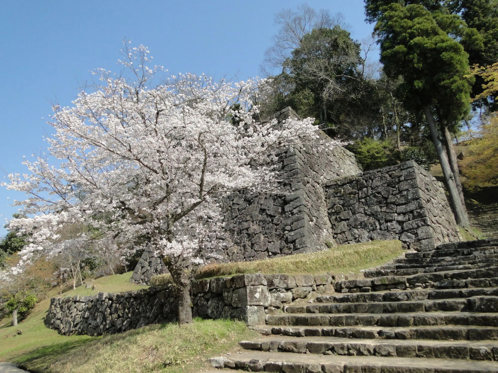 Hotel Sun Hitoyoshi - Général