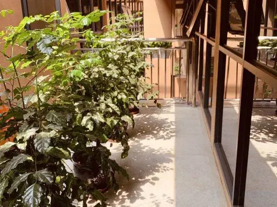 Hotel photo 10