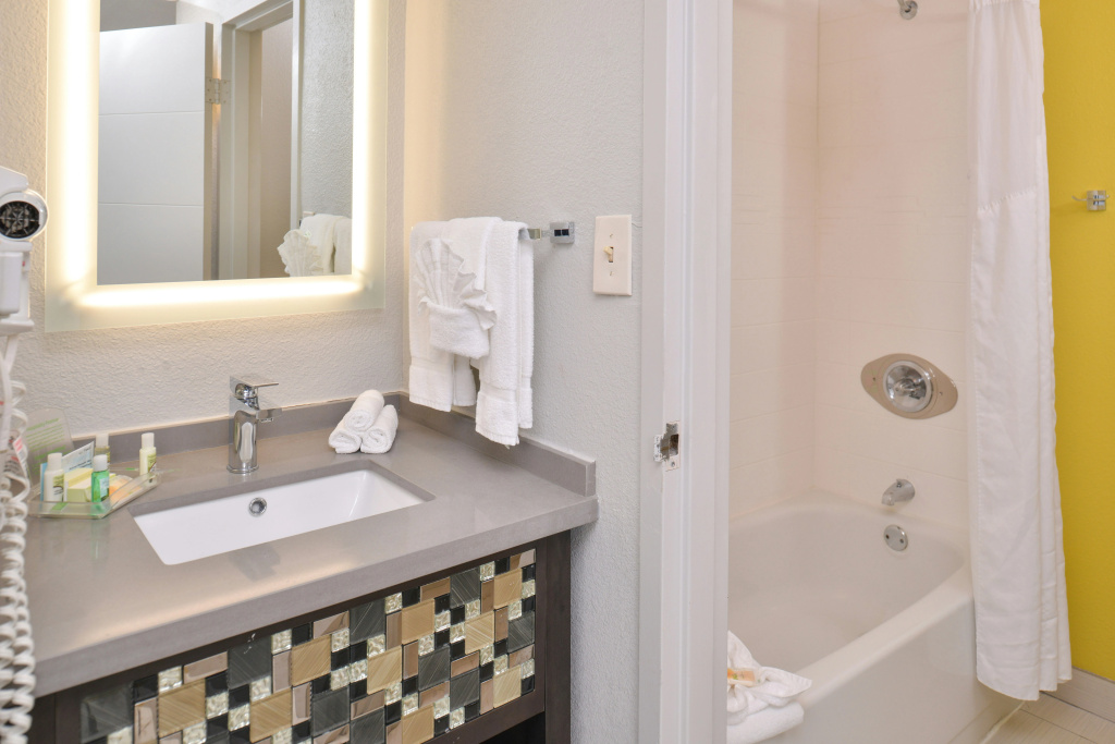Holiday Inn Dallas-Richardson by IHG - Général