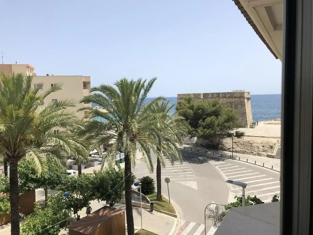 Balcony & Terrace