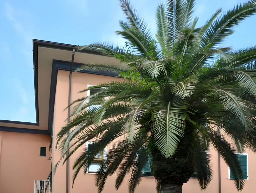 Hotel Bellonda