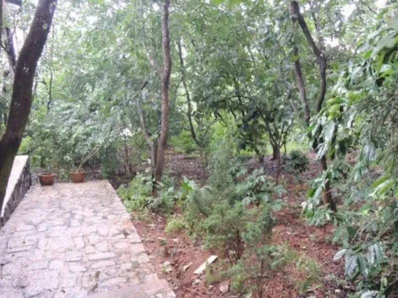 Garden Home Stay