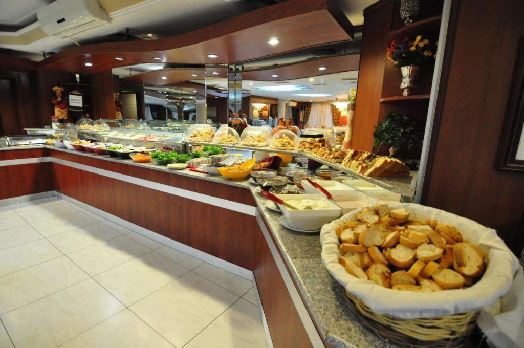 Hotel Büyük Şahinler - Général