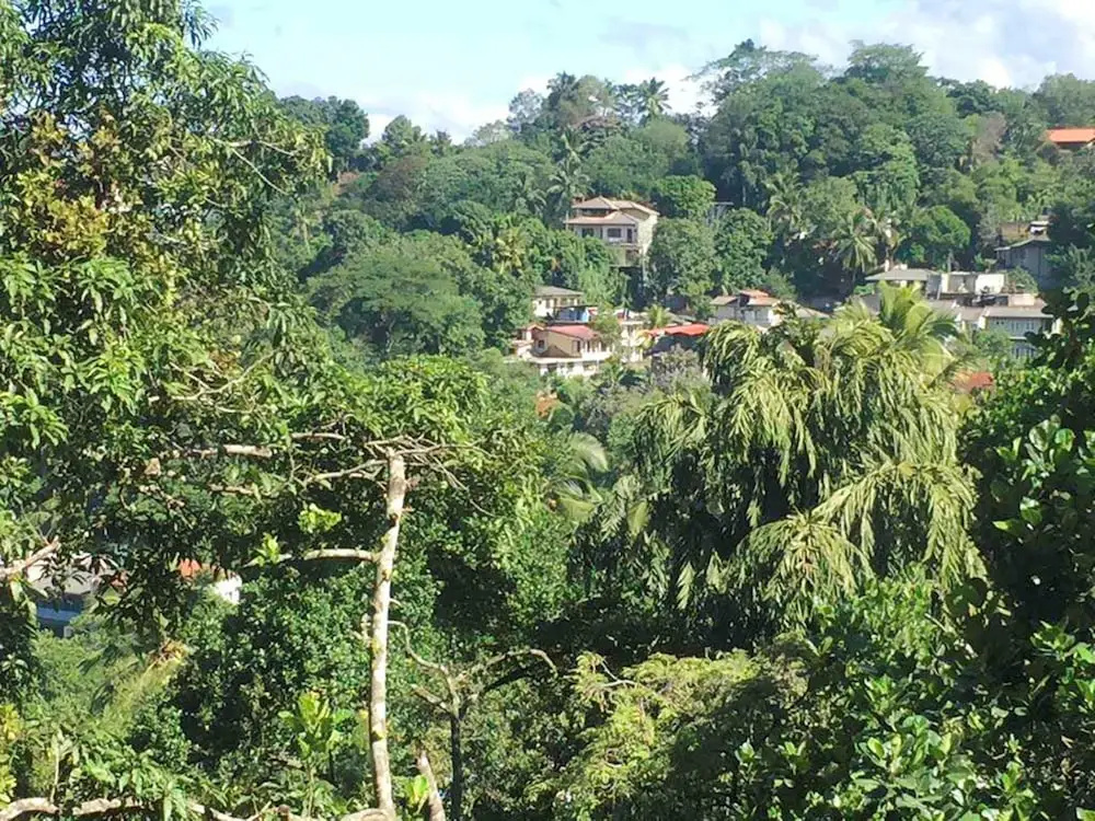 Birds' Hill Homestay