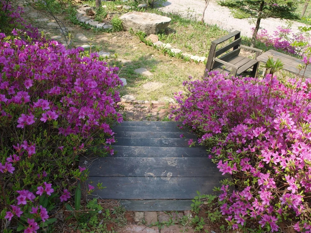 Geum Dang Lodge