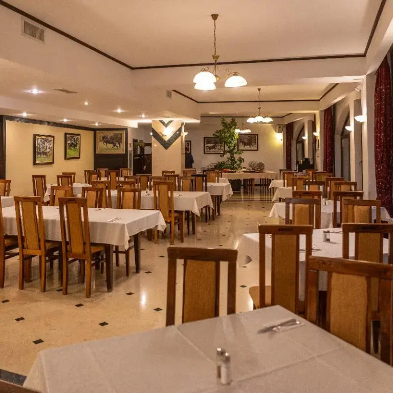 Hotel Casa Viorel - Général