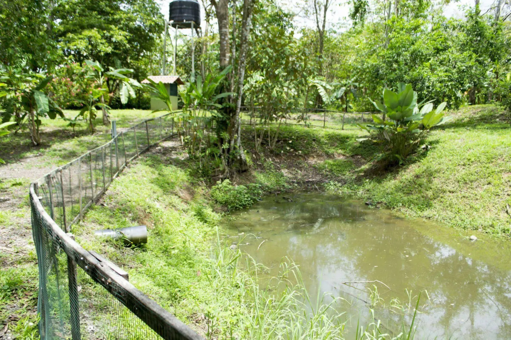 Las Islas Lodge - Général