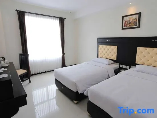 Deluxe Double room with city view (twin beds)