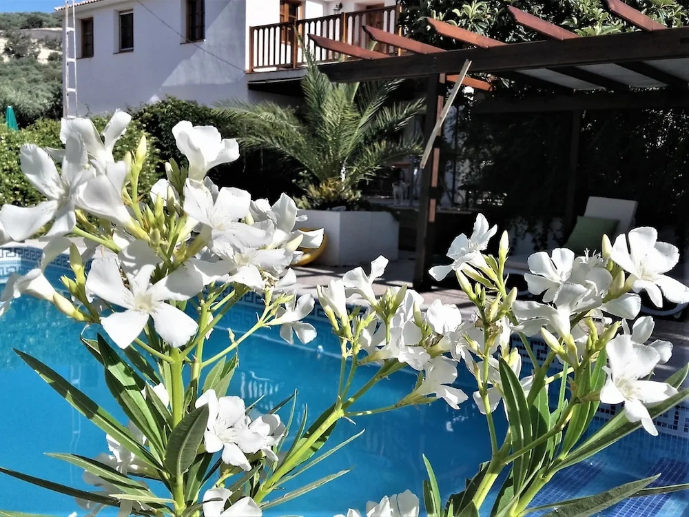 Cortijo Berruguilla Casa Rural - Général