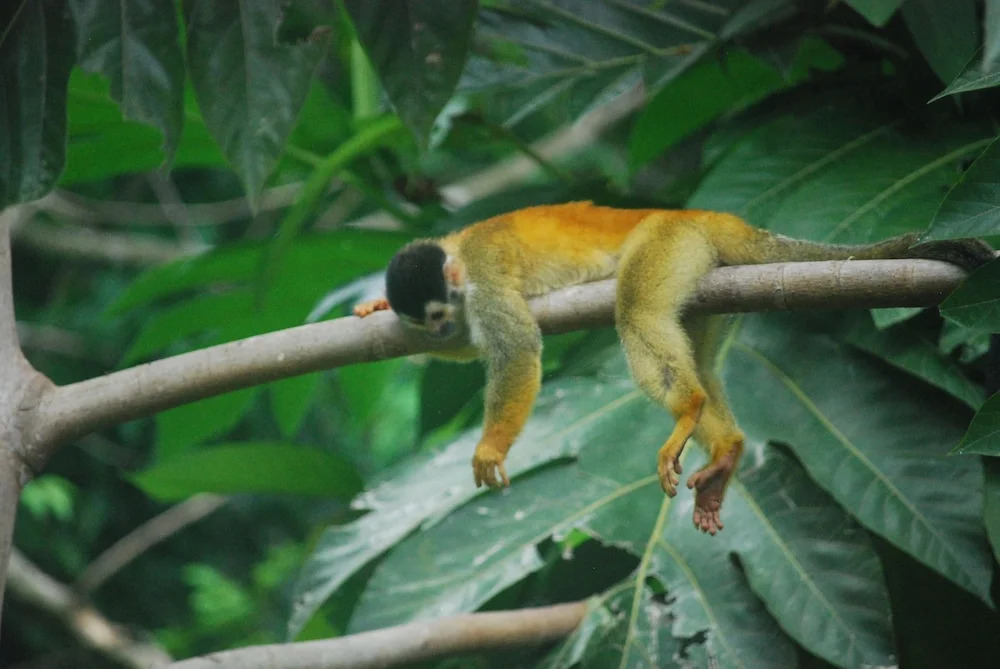 Cielo Lodge - фото 22