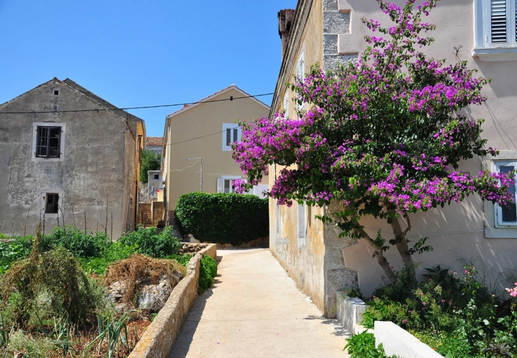 Oasis - SA1(2+2) in Veli Rat