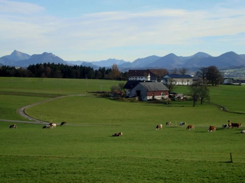 Bauernhofferien Oberdürnberg