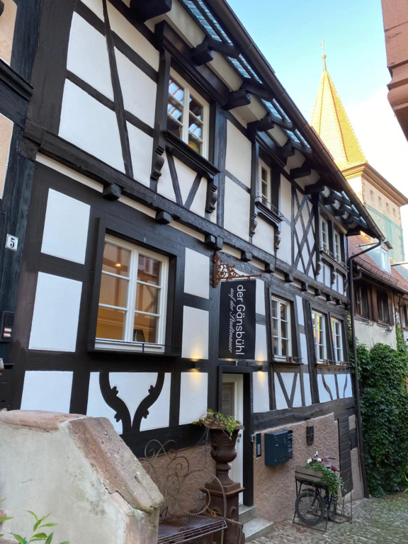 Kulturdenkmal der Gansbuhl auf der Stadtmauer