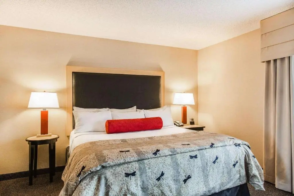 Cambria Hotel Minneapolis Maple Grove - Chambres