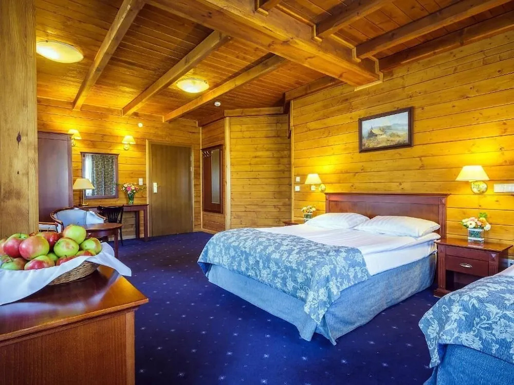 Czarny Potok Wellness & Spa Zakopane Centrum - Général