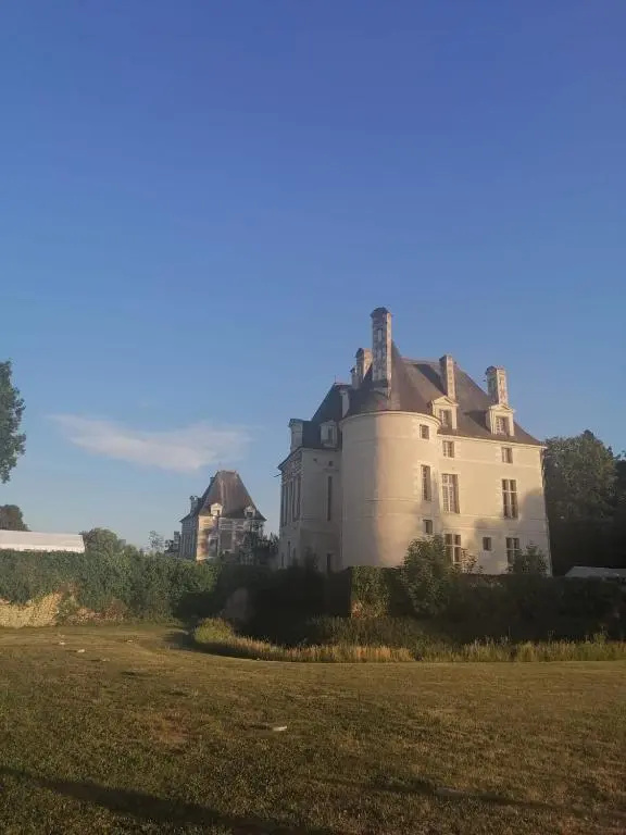 Afficher la photo 6 — Gîte cosy la Mosaïque, à Selles-sur-Cher, 15 mn du zoo Beauval