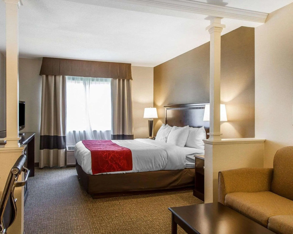 1 Bedroom Suite