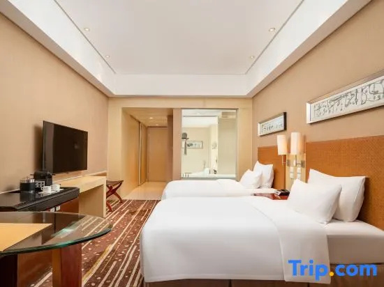 Executive Double room (twin beds)