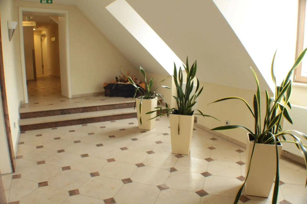 Hotel Blauer Wolf - Général