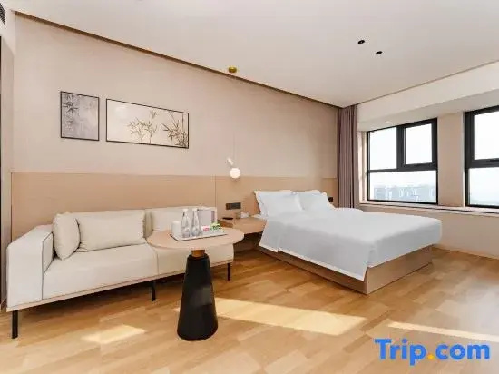 Standard Double room with city view (full double bed)