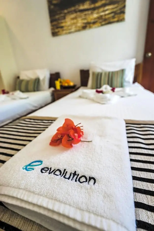 Evolution Dive and Beach Resort - Chambres