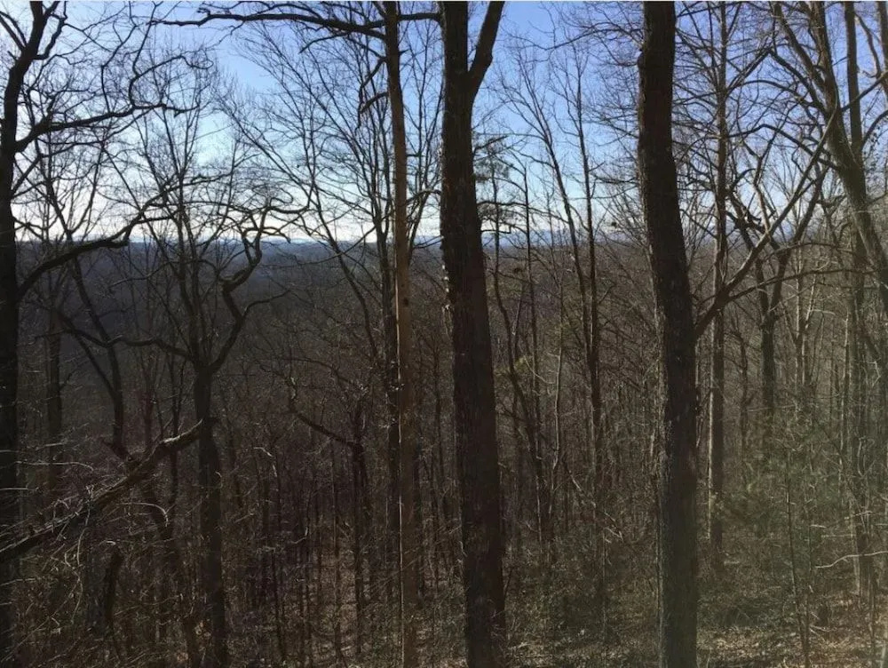 Mountain Top Lodge