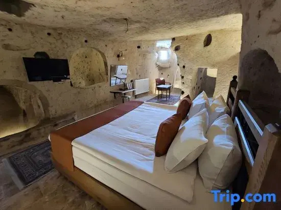Superior Double room (full double bed)