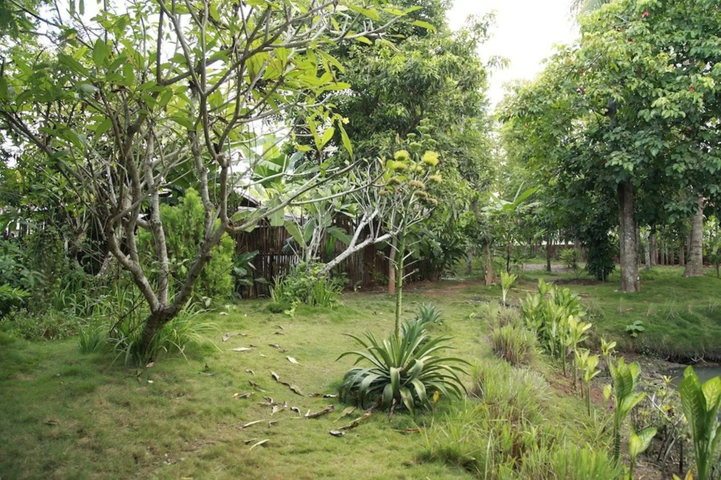 Hotel photo 48