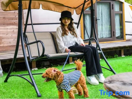 Yufuin Glamping Tennoniwa 사진 2