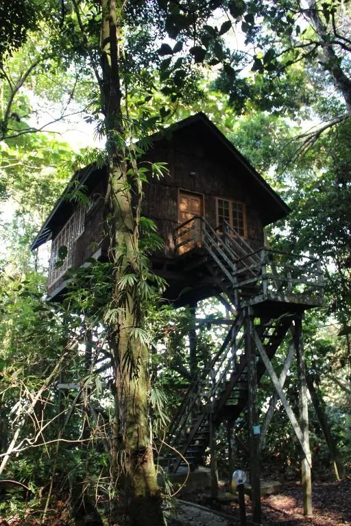 Permai Rainforest Resort