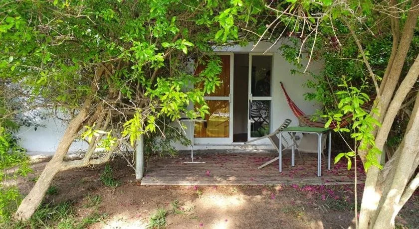 Bungalows Puravida