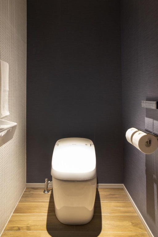Karaksa Hotel Premier Tokyo Ginza 사진 13