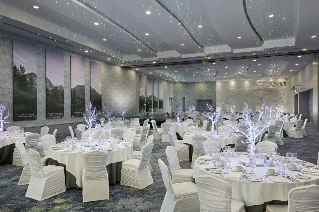 Crowne Plaza Hotel Blanchardstown by IHG - Général