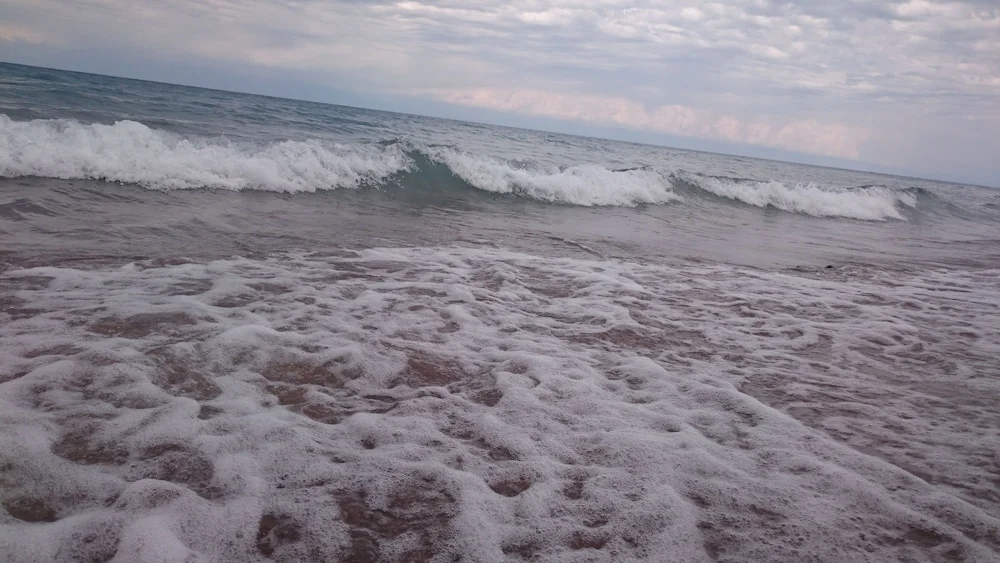 Family club Royal appricot - фото 12